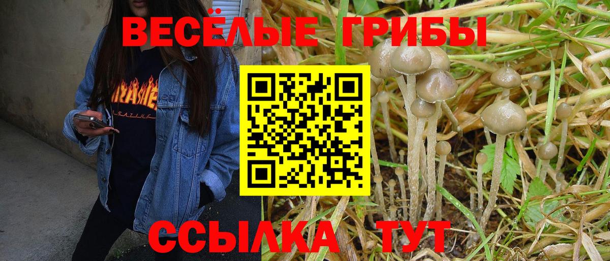 Галлюциногенные грибы Cubensis Карачаевск