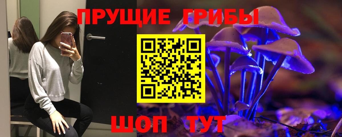 Карачаевск  Галлюциногенные грибы GOLDEN TEACHER  Вход с VPN 